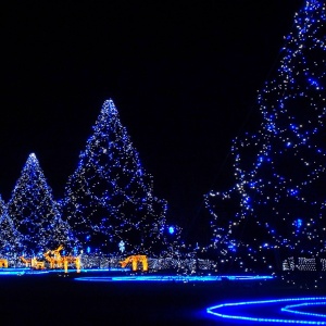 Christmas Lights for Decoration