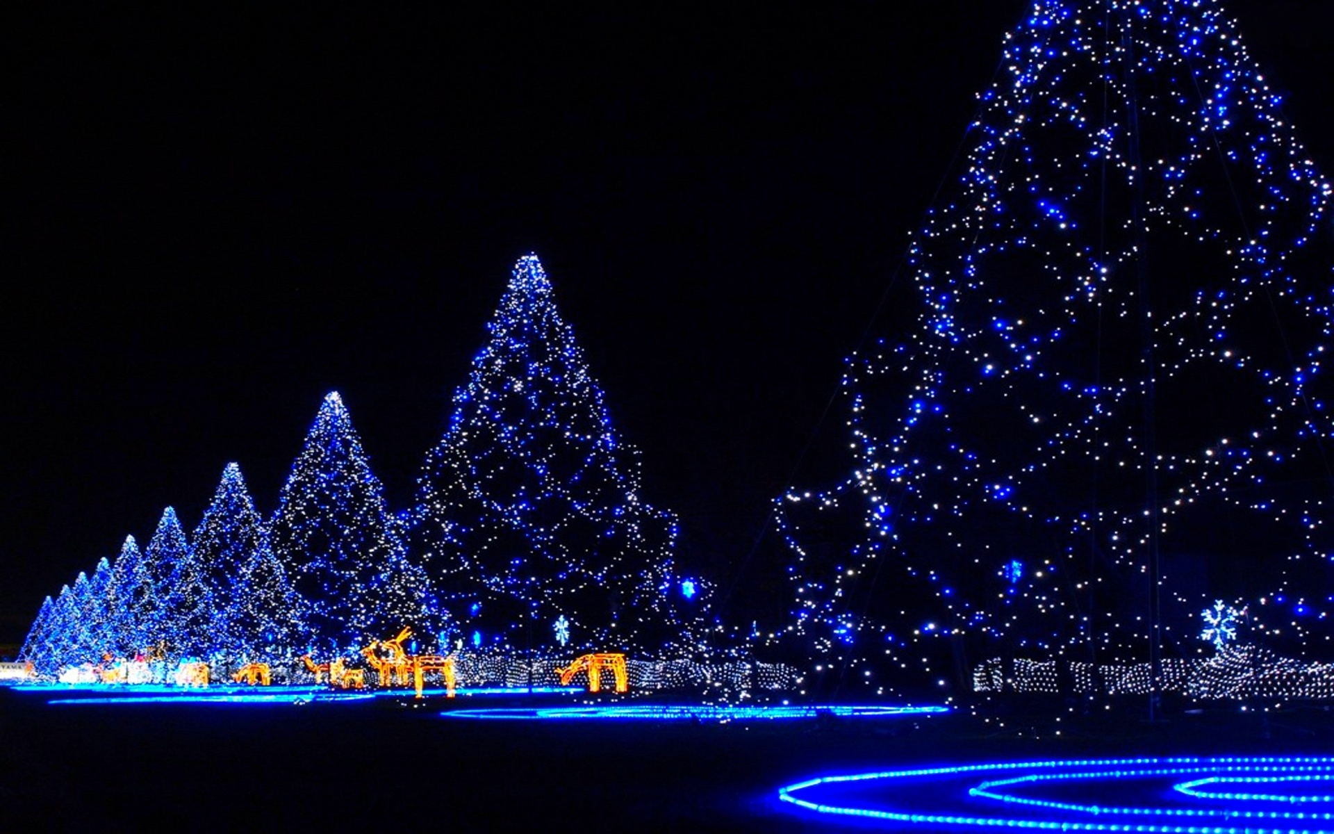Christmas Lights for Decoration